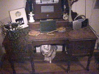 The Collectibles of Ken & Myrna Kautz - An Antique Desk, Photo by Roland Blanks