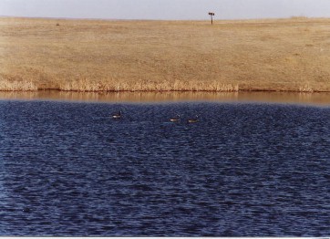 Base Pond in April 2000, Photo by Lisa Dunning