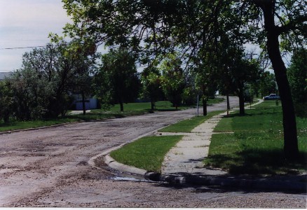 Cedar Street, June 1st, Photo 
by Lisa Dunning