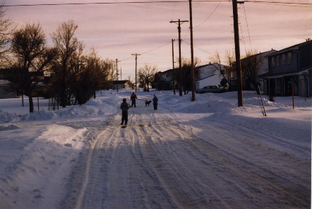 Cedar Street, March 1st, Photo 
by Lisa Dunning