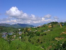 Asin Road Barangay View