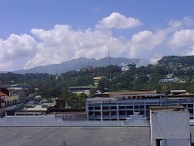 Baguio City - Tree Top View